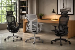 op ergonomic office chairs compared for lower back pain relief in modern office